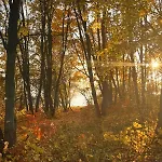 Glamping Liptov S Virivkou * Liptovský Trnovec