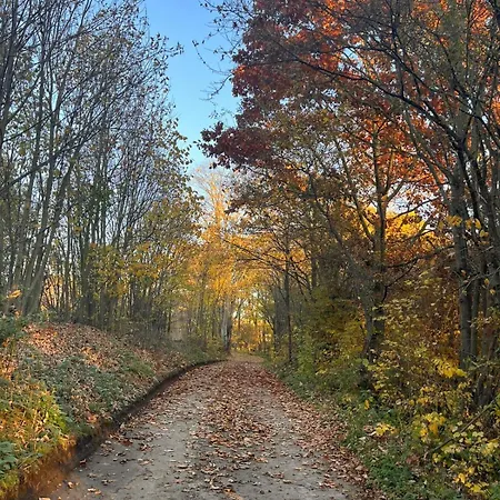 ラグジュアリーテント Glamping Liptov *