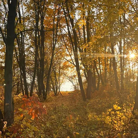 Glamping Liptov * Liptovský Trnovec