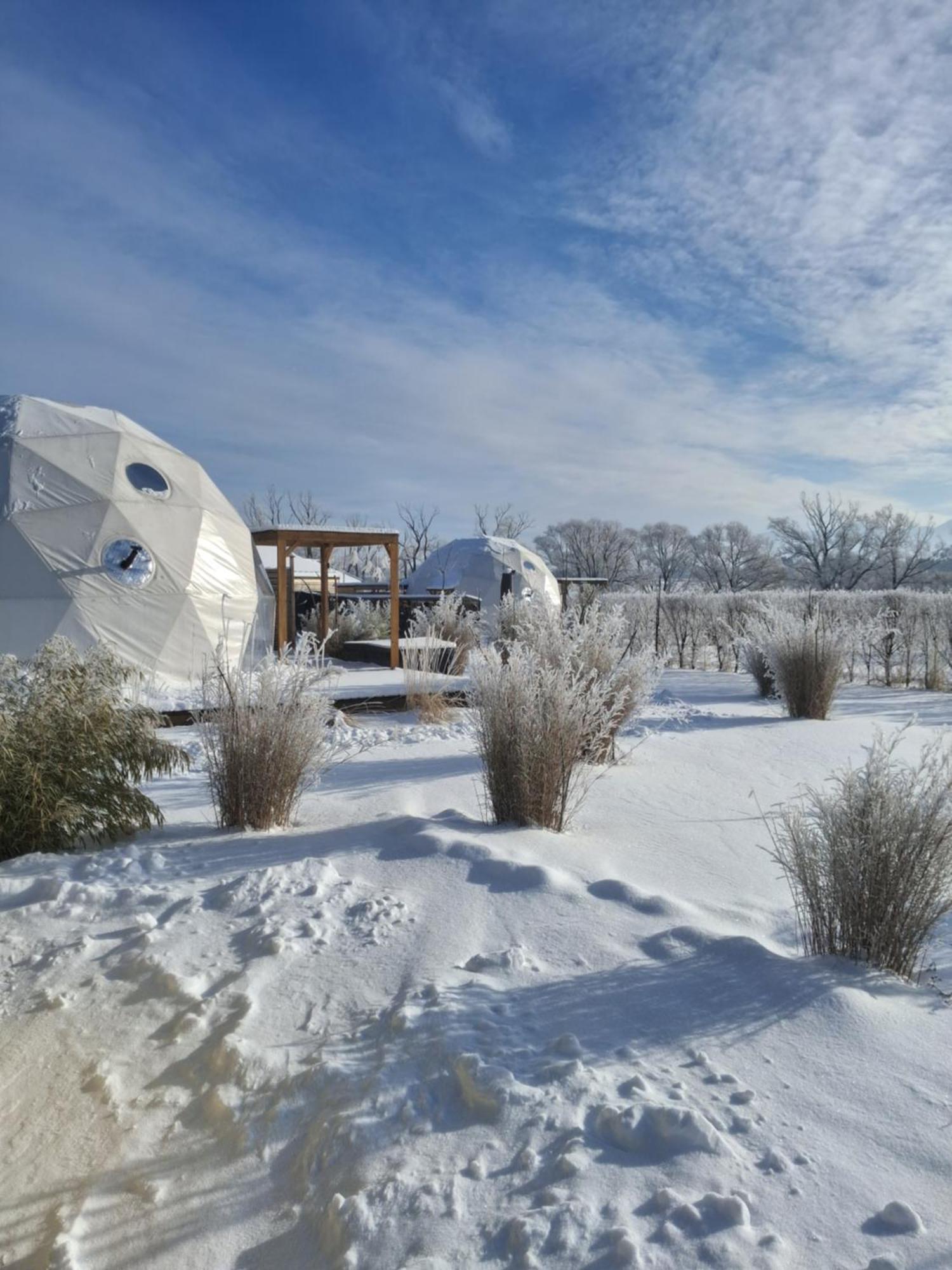Glamping Liptov — Photo 6 of 6
